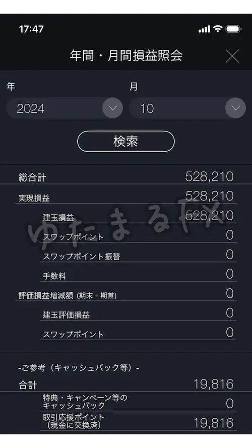 DMM FX 月間損益 2024年10月