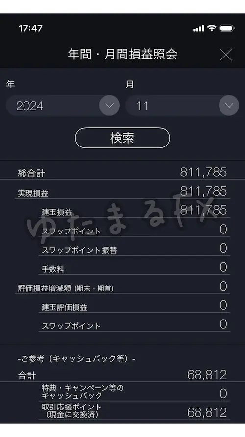 DMM FX 月間損益 2024年11月