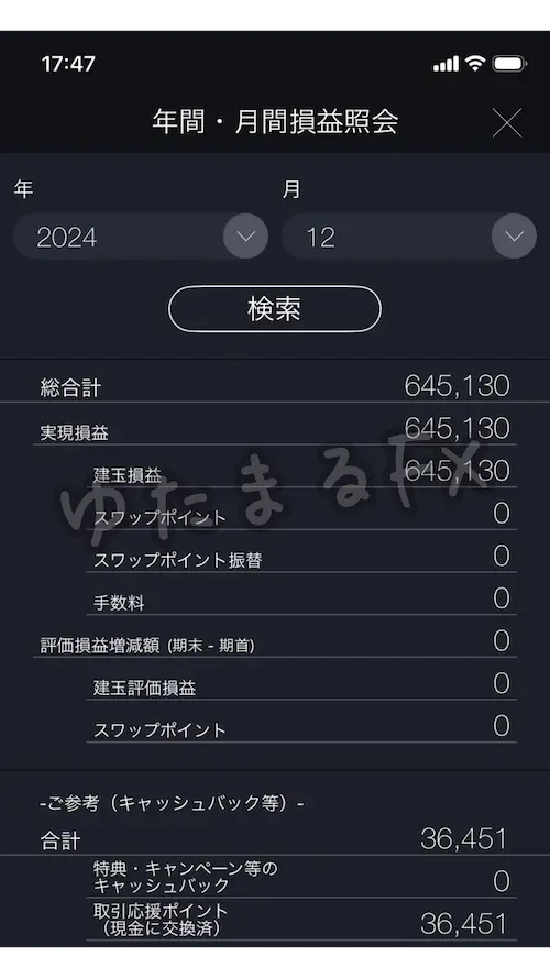 DMM FX 月間損益 2024年12月