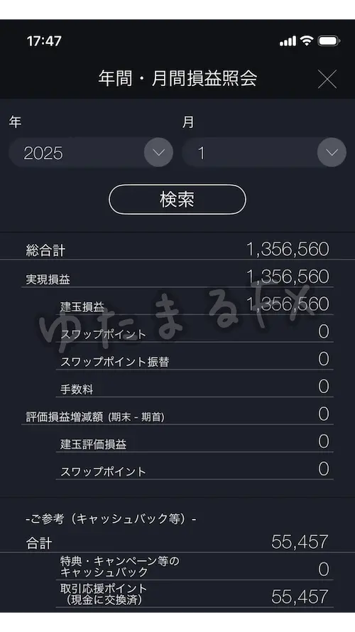 DMM FX 月間損益 2025年1月