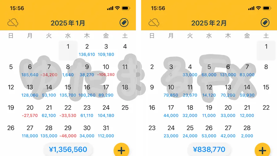 FX月間収支 2025年1月・2月