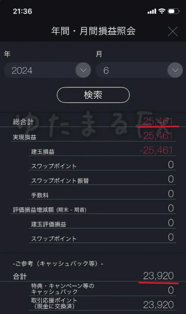 2024年6月の月間損益（マイナス25,461円）の証拠画像