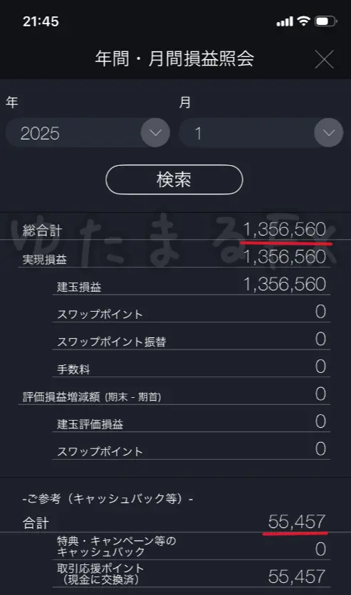 2025年1月のDMM FX月間損益（＋1,356,560円）の証拠画像